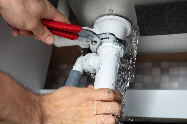 Best Mold removal after water damage  in Orangeburg, NY