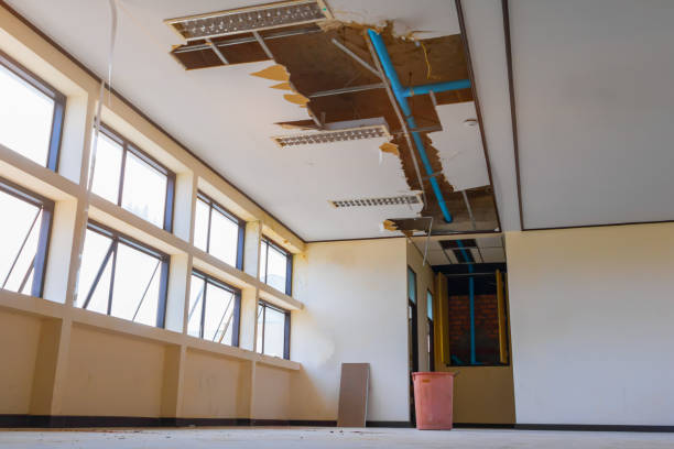 Best Water damage cleanup near me  in Orangeburg, NY