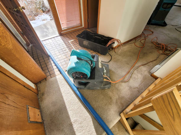 Best Water damage restoration near me  in Orangeburg, NY