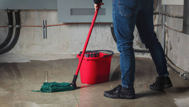 Best Flood damage cleanup  in Orangeburg, NY