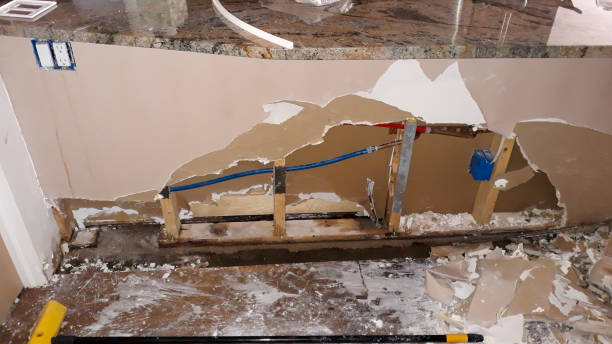 Best Local water damage restoration  in Orangeburg, NY
