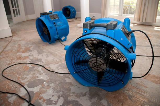 Best 24-hour water damage restoration  in Orangeburg, NY