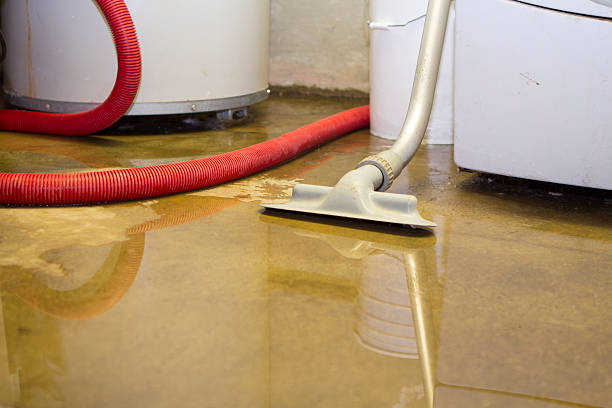 Best Flooded house restoration  in Orangeburg, NY