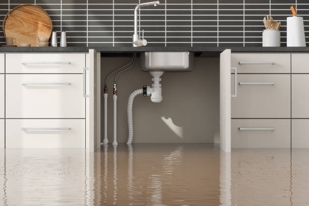 Best 24/7 water damage repair  in Orangeburg, NY